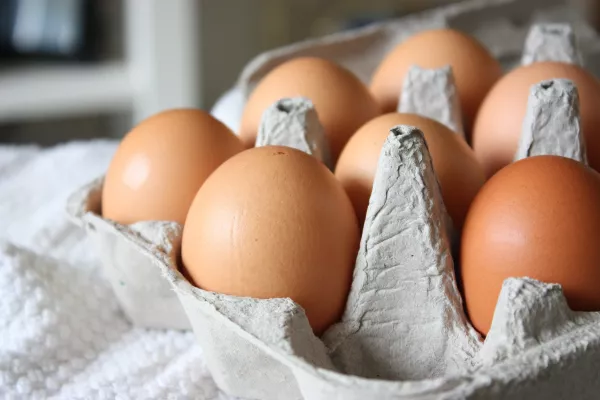 В Чувашии производство яиц за год выросло на 33,3% благодаря модернизации птицефабрик