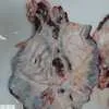 диафрагма говяжья 135 р./кг в Чебоксарах