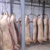 мясо в тушах в Чебоксарах