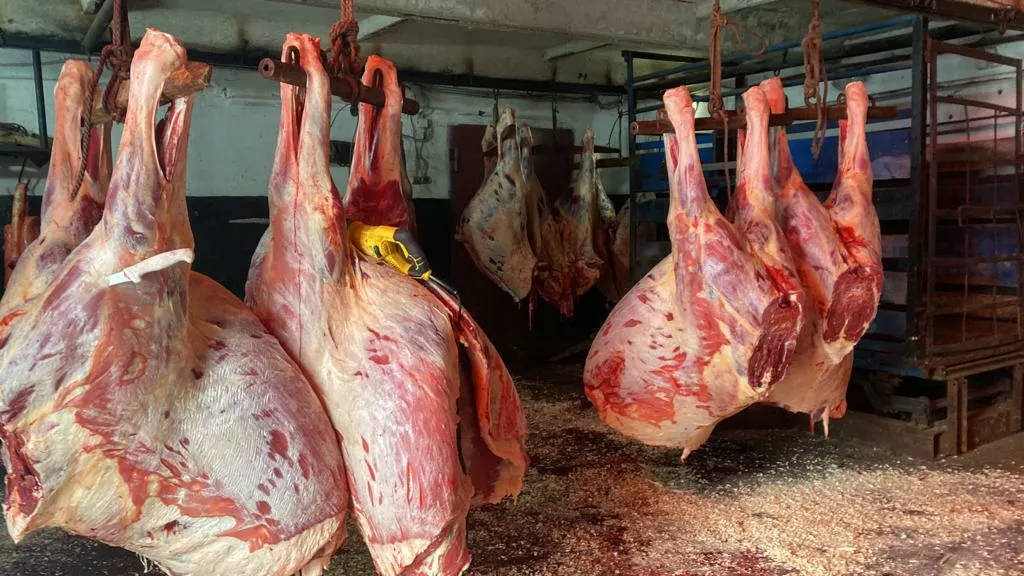 мясо конина (халяль) в Чебоксарах и Чувашии